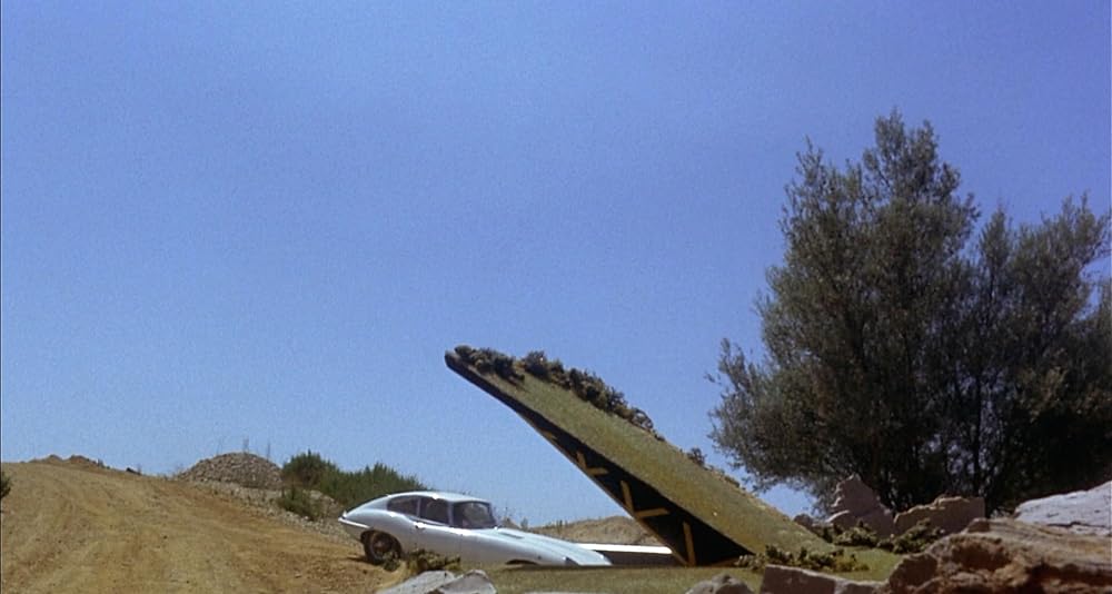 黄金の眼の画像