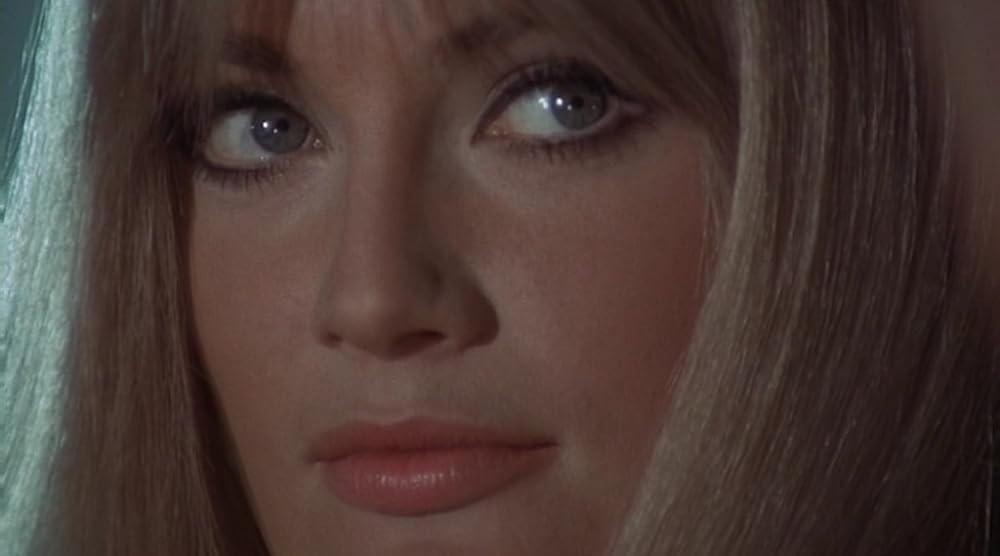 黄金の眼の画像