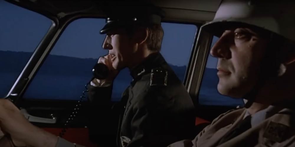 黄金の眼の画像