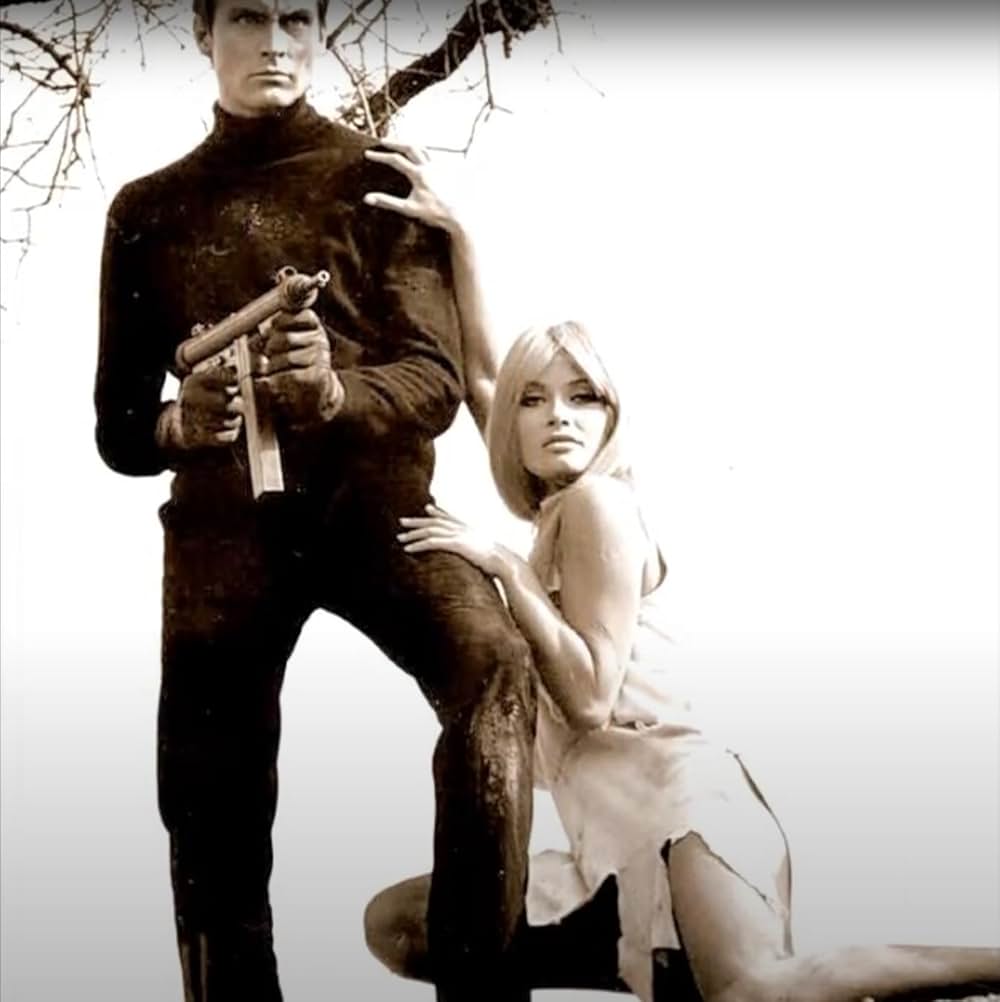 黄金の眼の画像