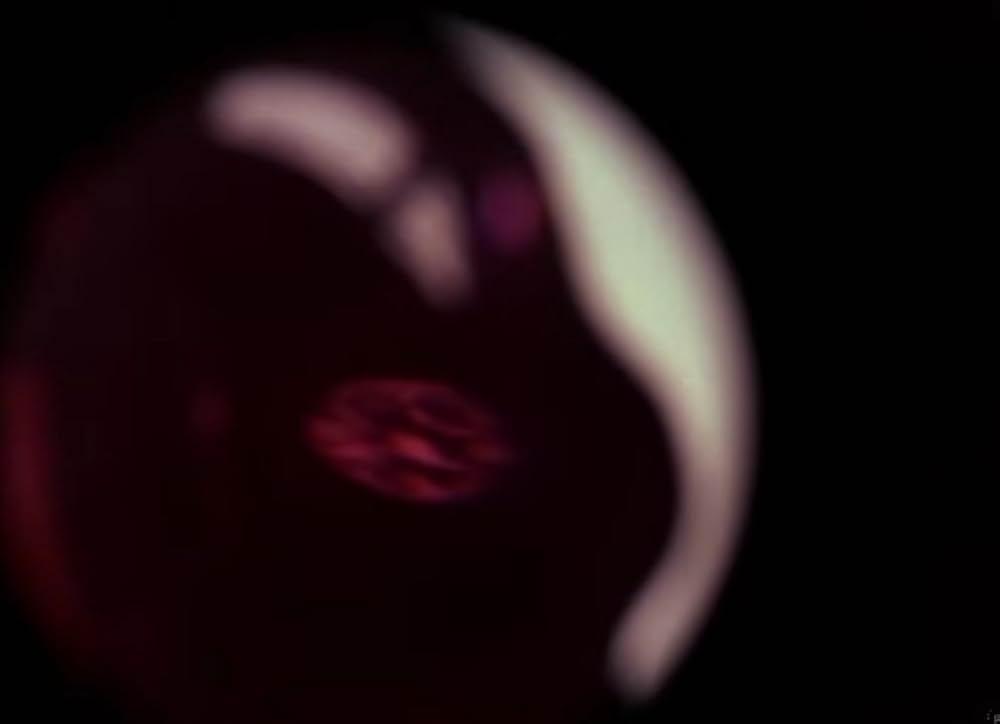 ホラー・エクスプレス／ゾンビ特急地獄行の画像