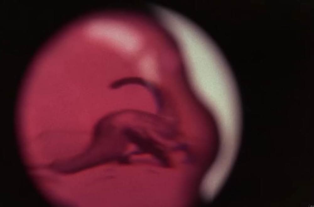 ホラー・エクスプレス／ゾンビ特急地獄行の画像