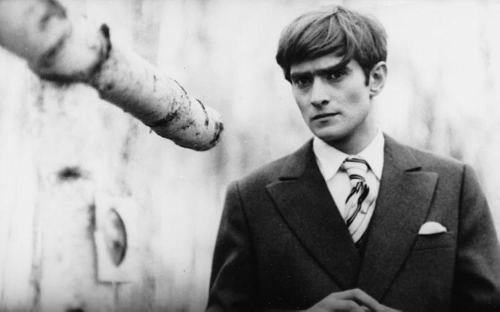 白樺の林の画像