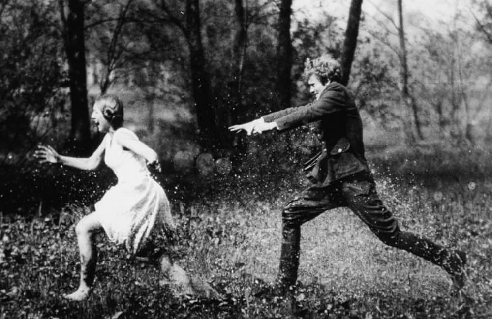 白樺の林の画像