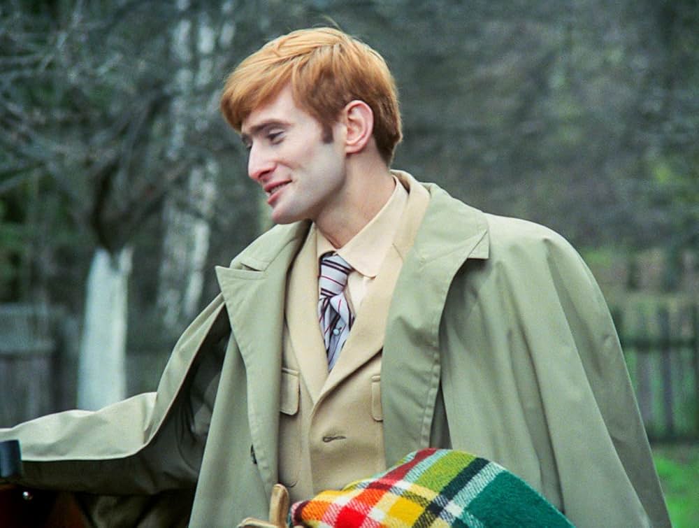 白樺の林の画像