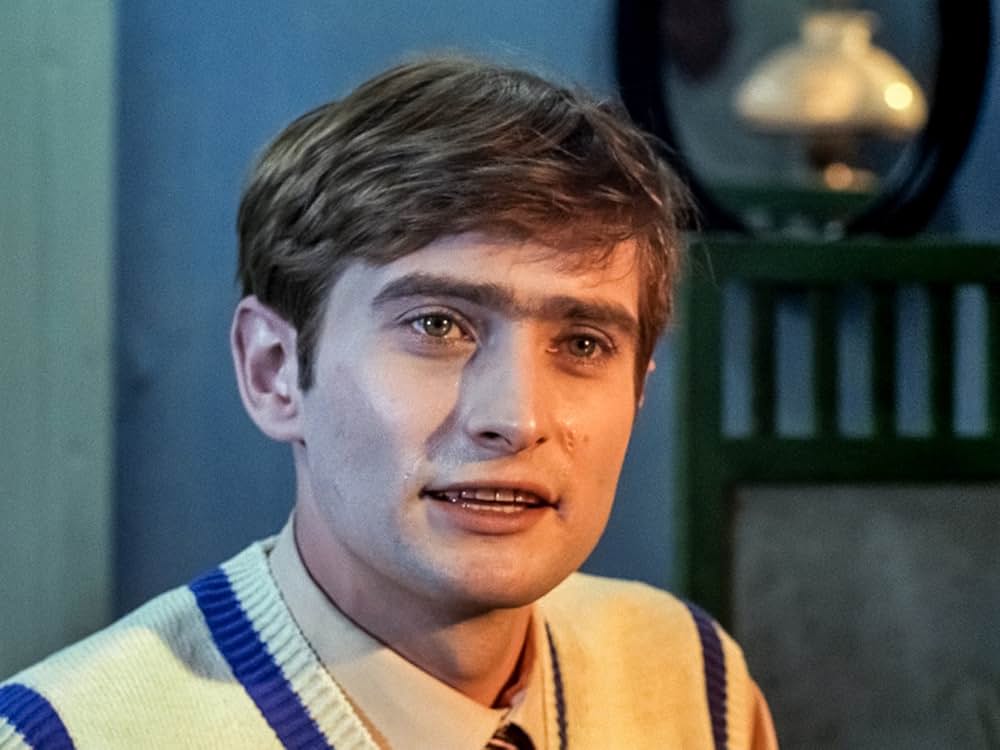 白樺の林の画像