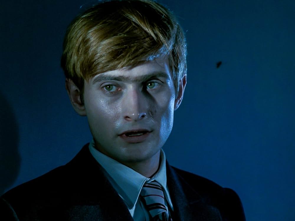 白樺の林の画像