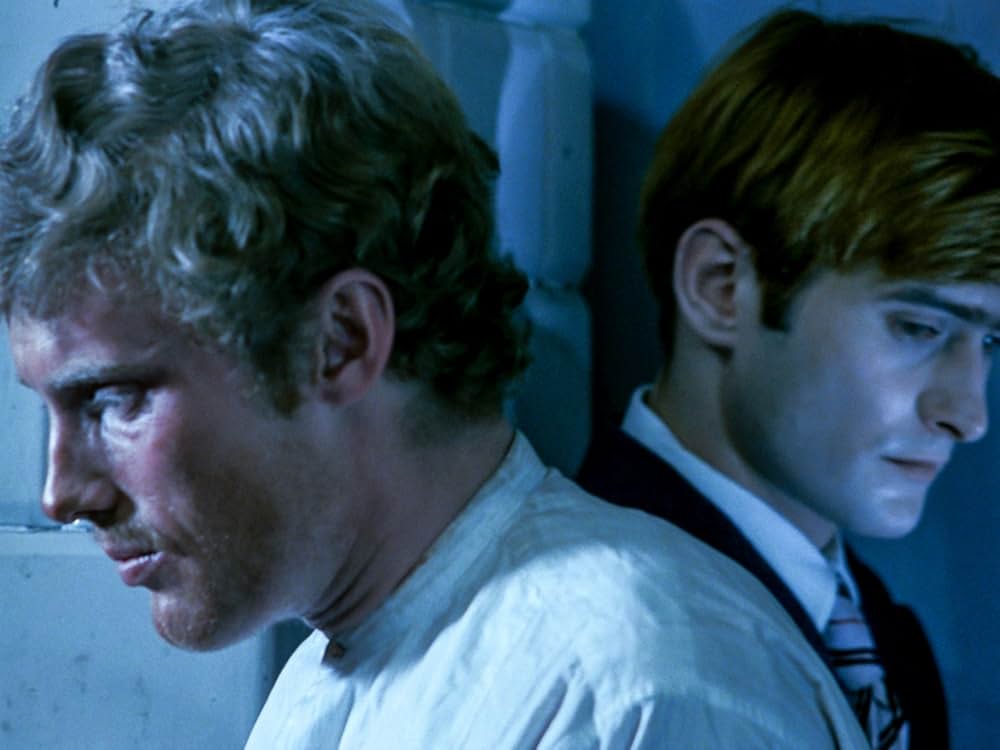 白樺の林の画像