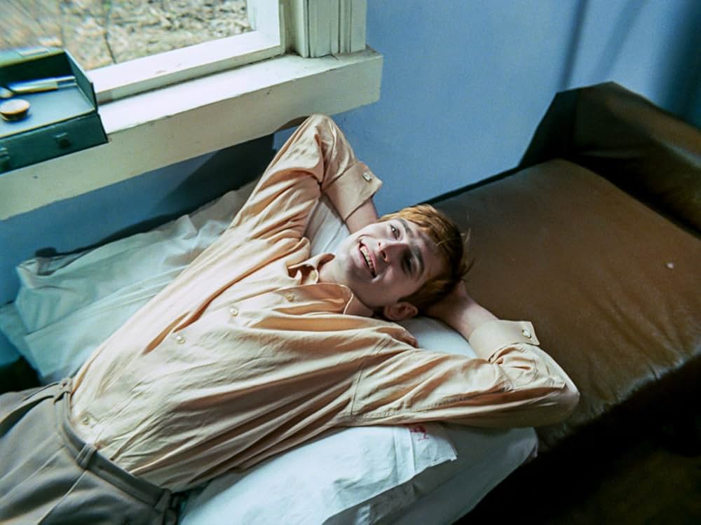 白樺の林の画像