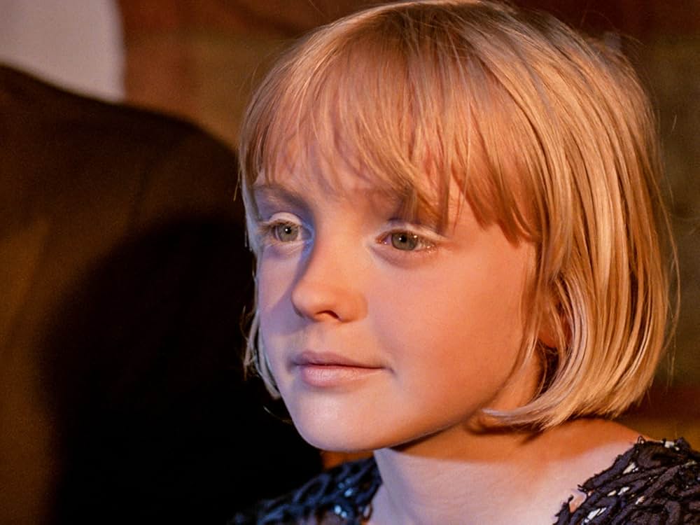 白樺の林の画像