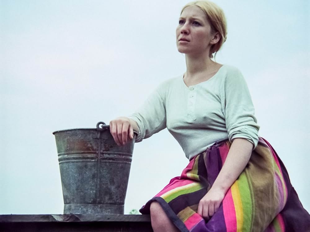 白樺の林の画像