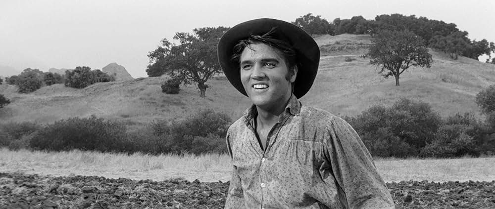 やさしく愛しての画像