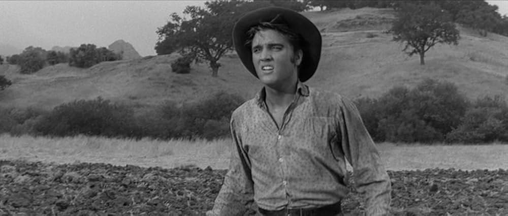 やさしく愛しての画像