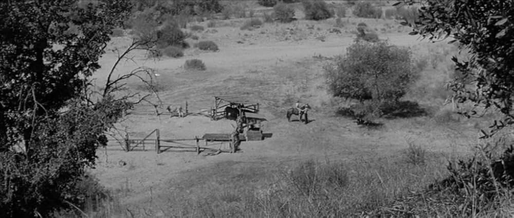 やさしく愛しての画像