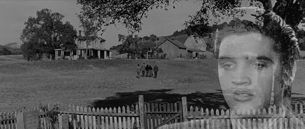 やさしく愛しての画像