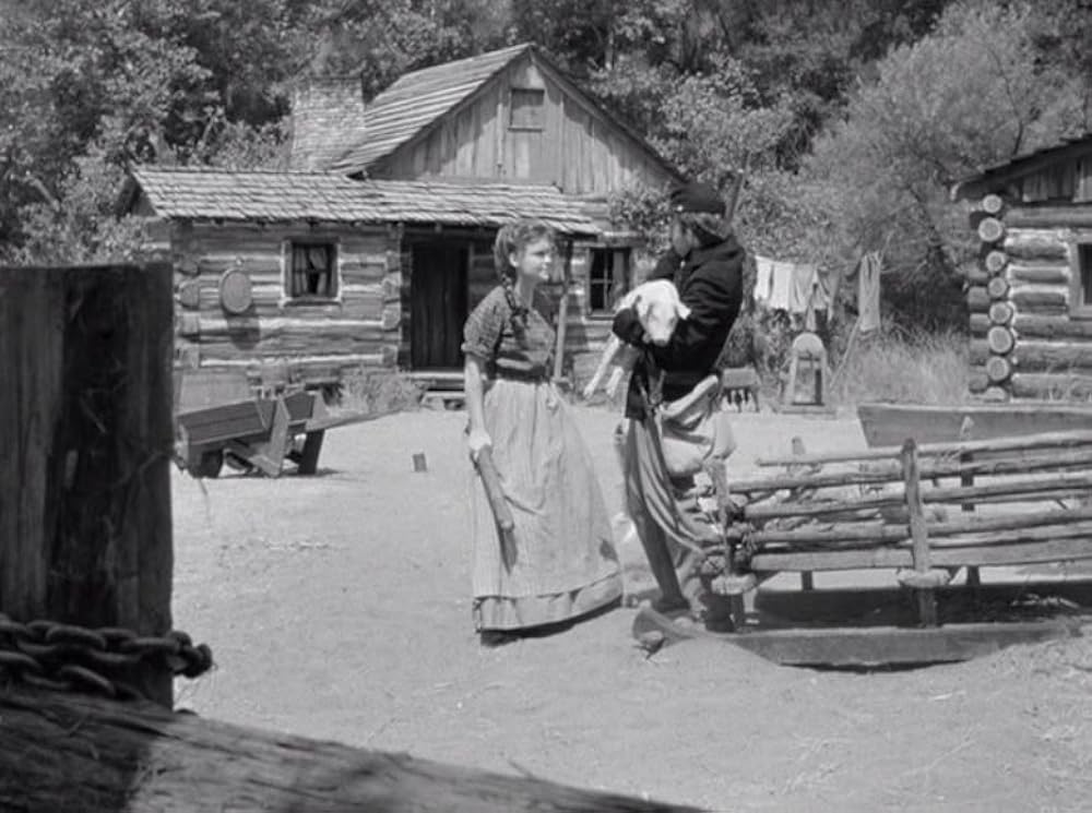 勇者の赤いバッヂの画像