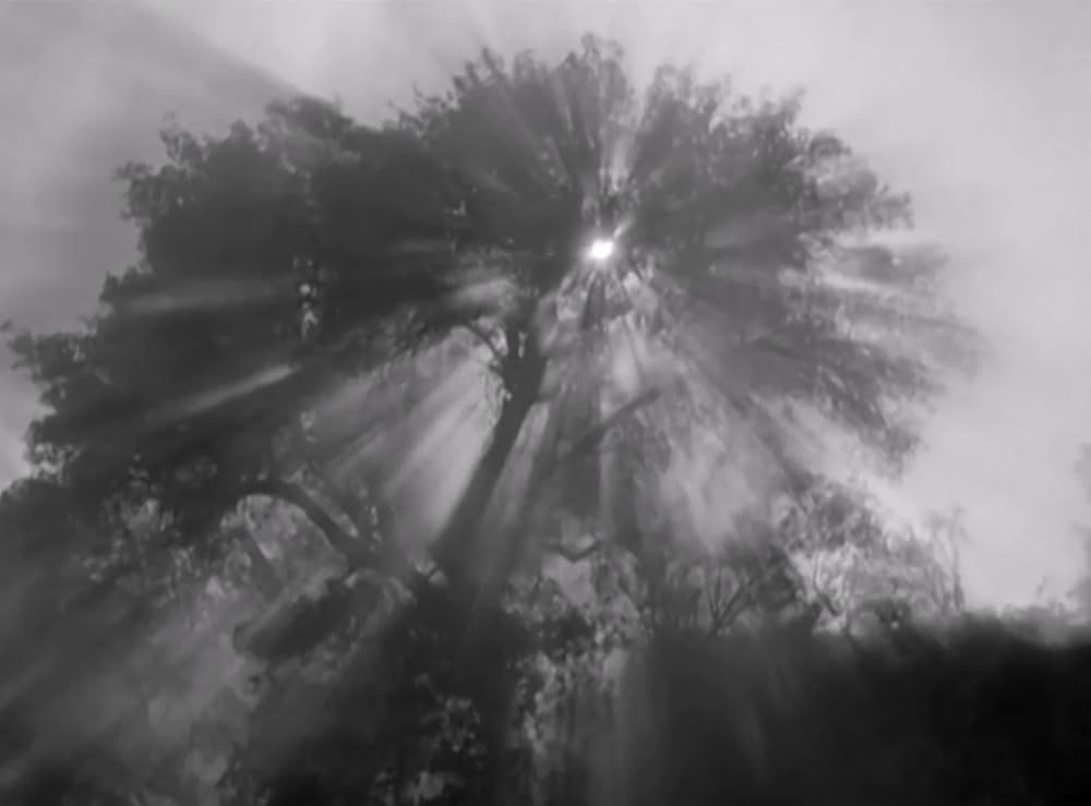 勇者の赤いバッヂの画像