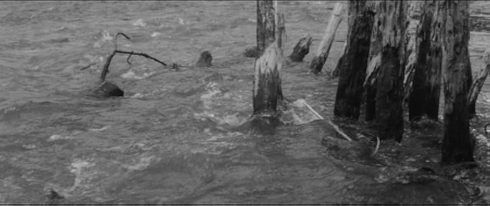 大殺陣 雄呂血の画像