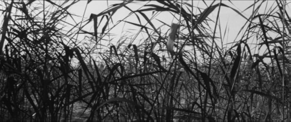 大殺陣 雄呂血の画像