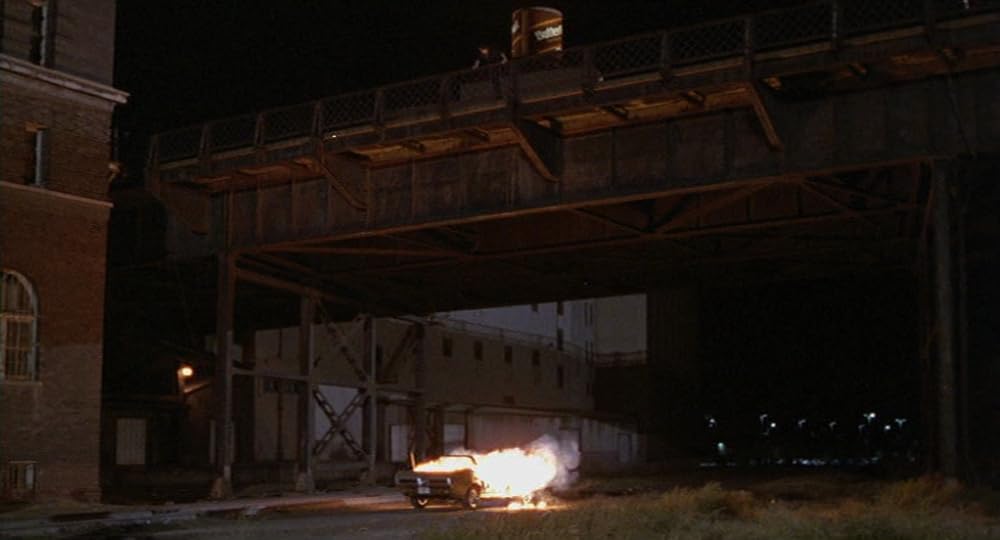 インディアン・ランナーの画像