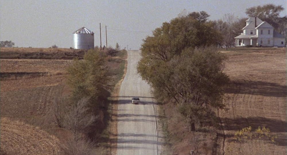 インディアン・ランナーの画像