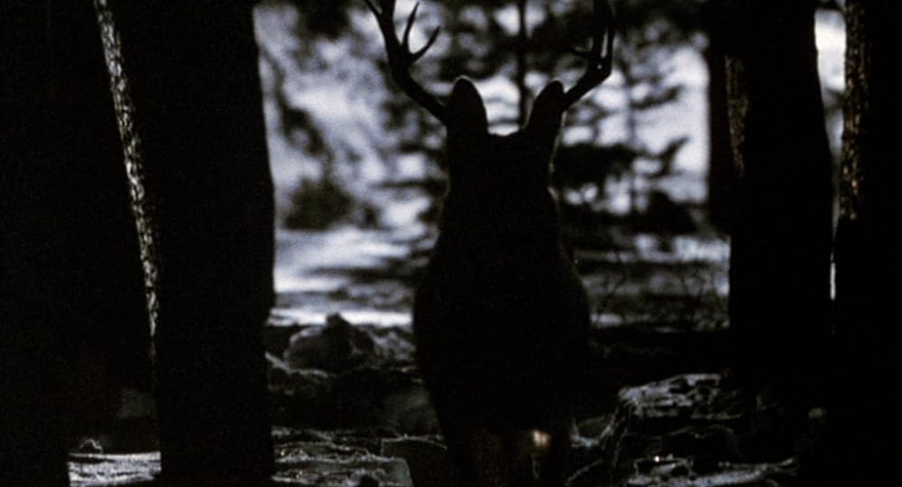 インディアン・ランナーの画像