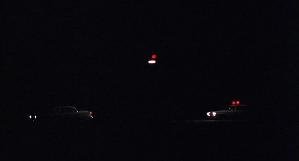 インディアン・ランナーの画像