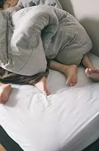 愛がなんだの画像