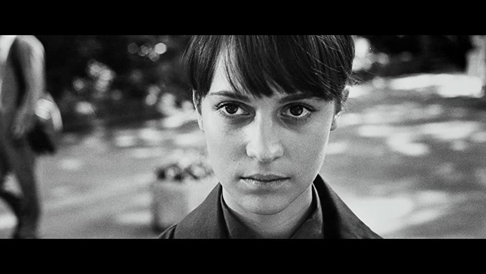 アースクエイクバードの画像