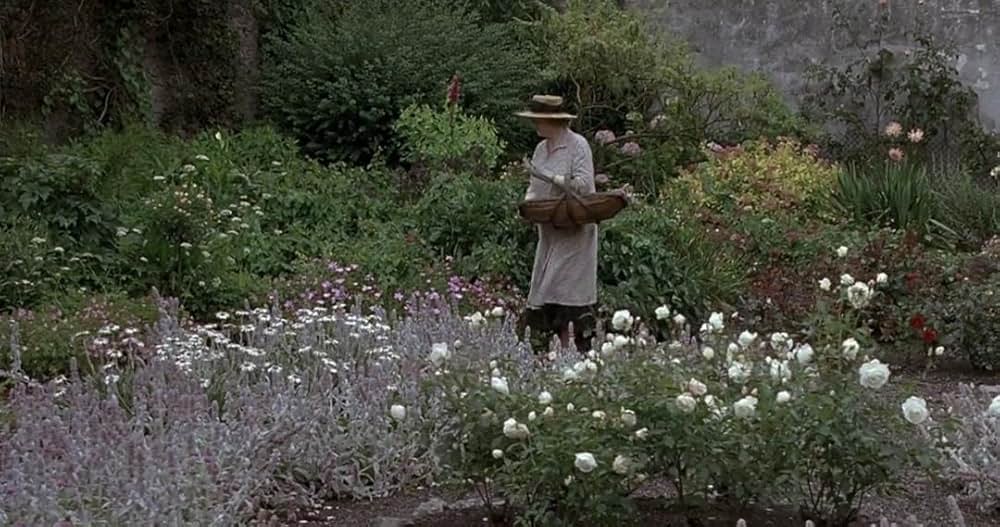 汚れなき情事の画像