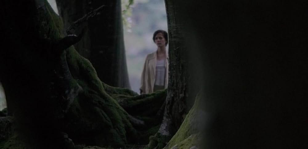 汚れなき情事の画像