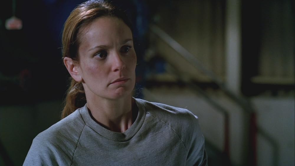 プリズン・ブレイク ファイナル・ブレイクの画像