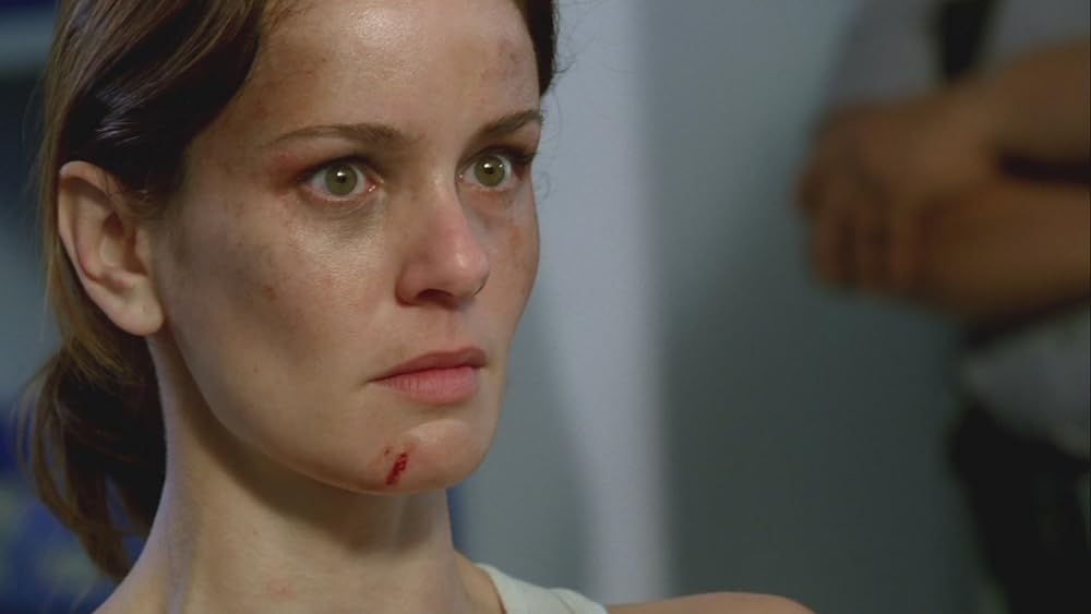 プリズン・ブレイク ファイナル・ブレイクの画像