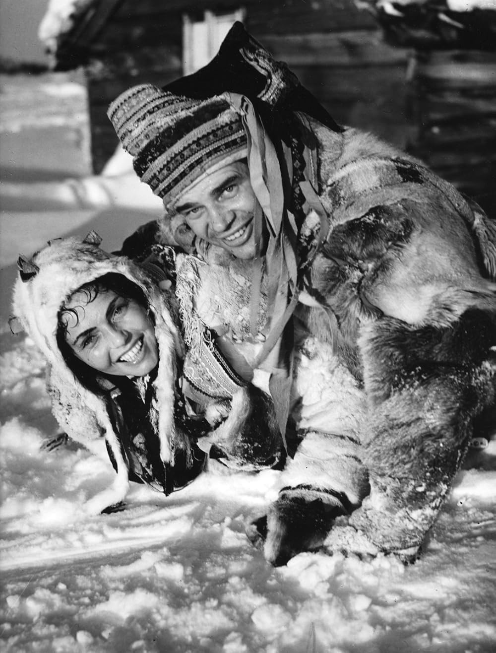 白いトナカイの画像