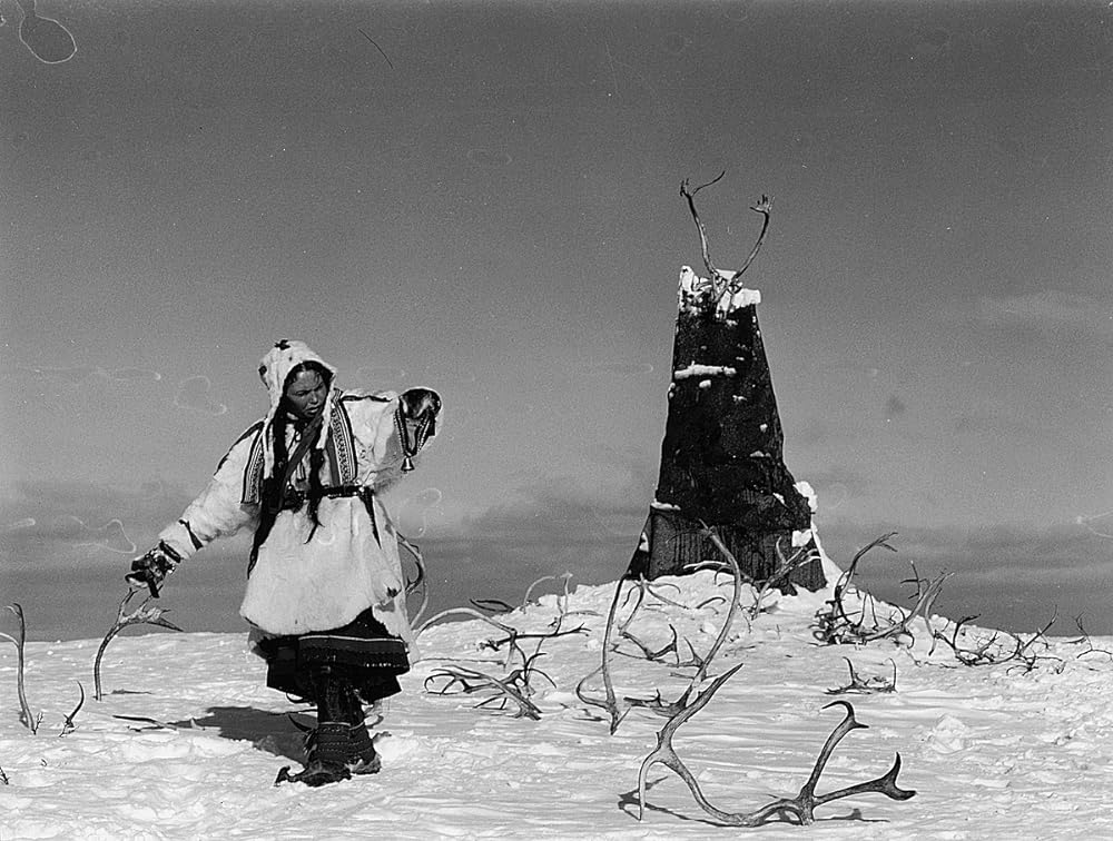 白いトナカイの画像