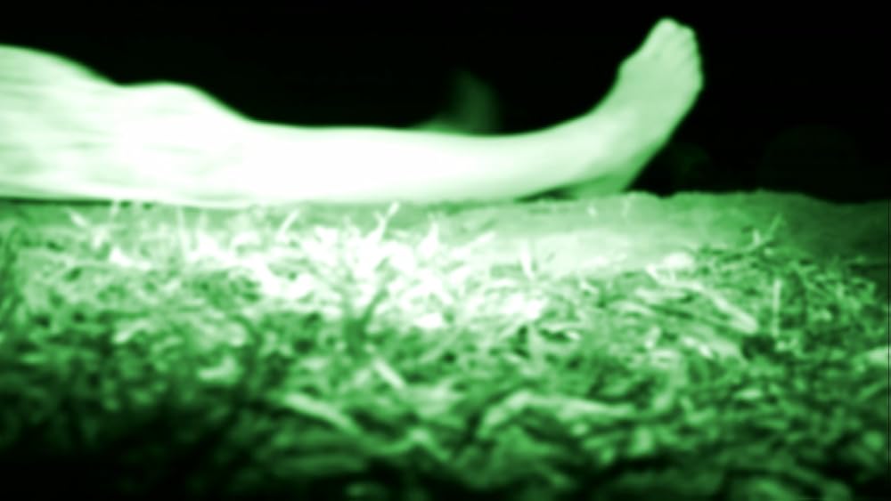 The Poughkeepsie Tapes（原題）の画像