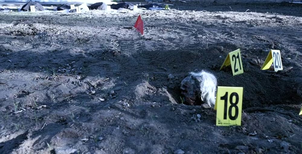 The Poughkeepsie Tapes（原題）の画像