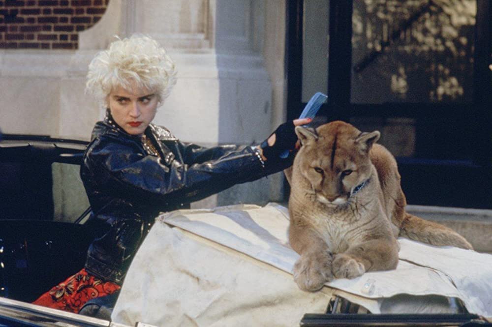 フーズ・ザット・ガールの画像