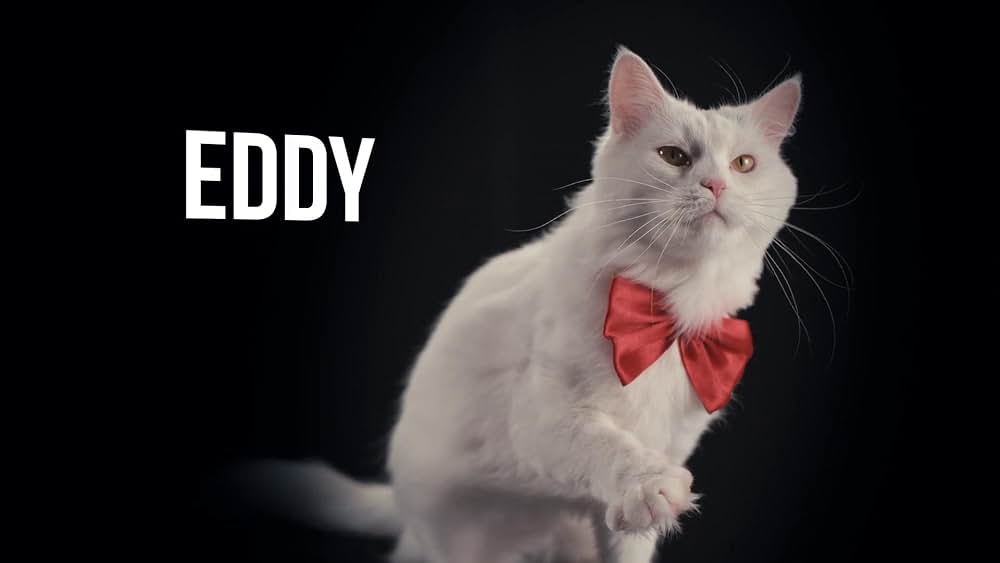 教えて？ ネコのココロの画像