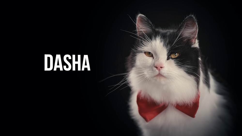 教えて？ ネコのココロの画像