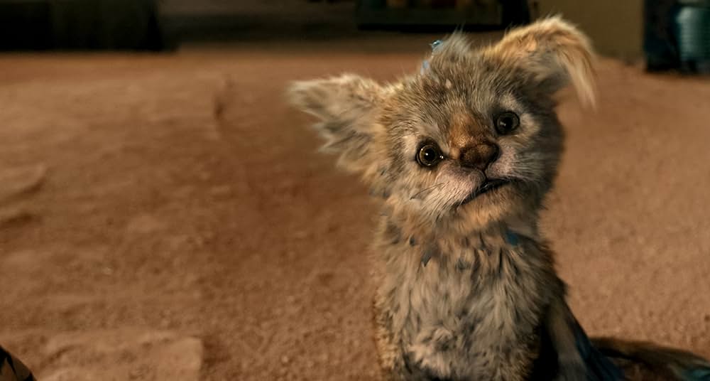 アレックスとチュパの画像