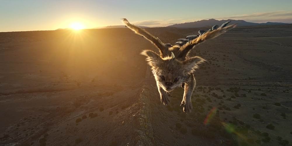 アレックスとチュパの画像