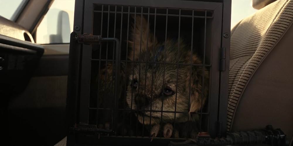 アレックスとチュパの画像