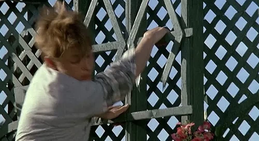 摩天楼はバラ色にの画像