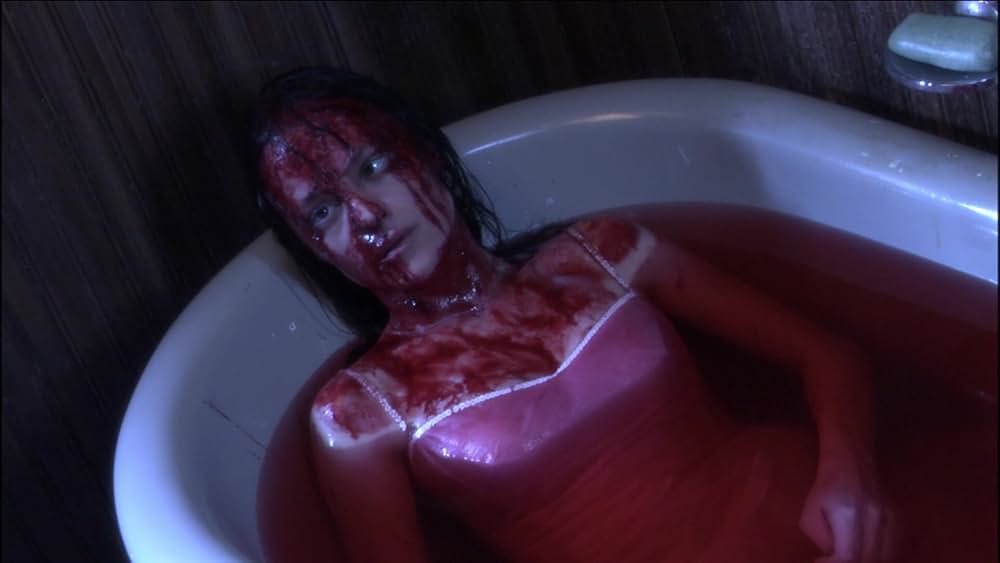 キャリーの画像