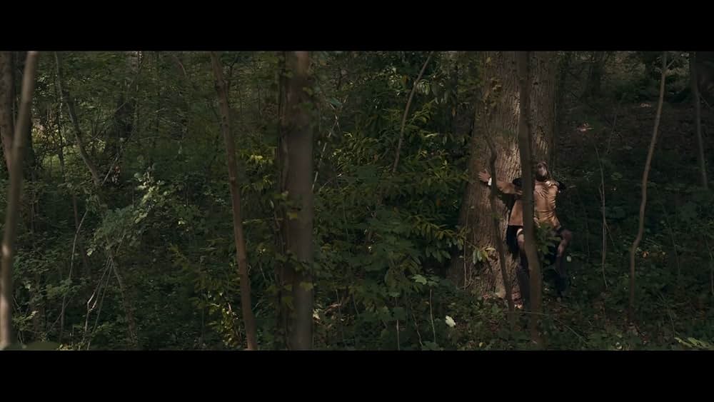 夜の伝説 マダム・クロードの画像