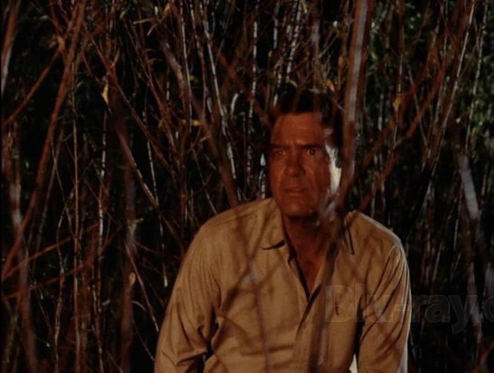 殺人ブルドーザーの画像