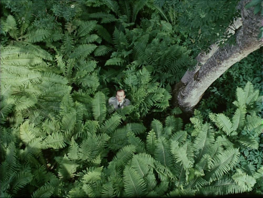 この女たちのすべてを語らないためにの画像