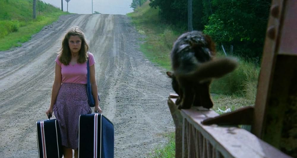 墓場の館の画像