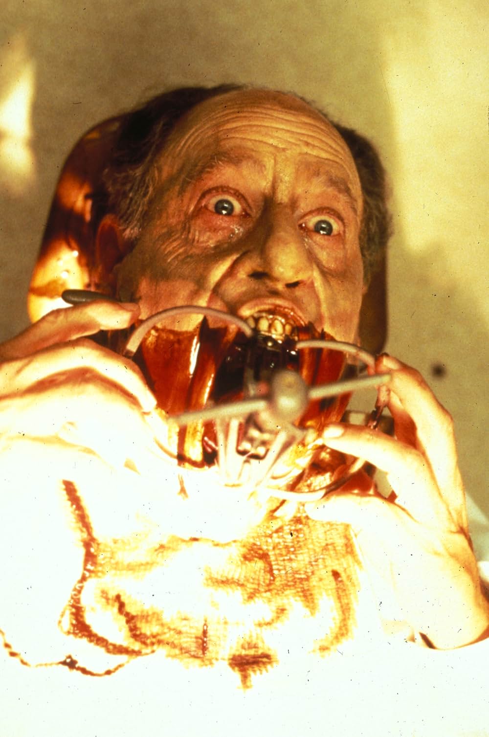 デンティストの画像